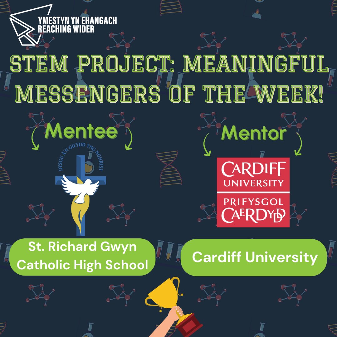 Reaching Wider Mentoring tweet media