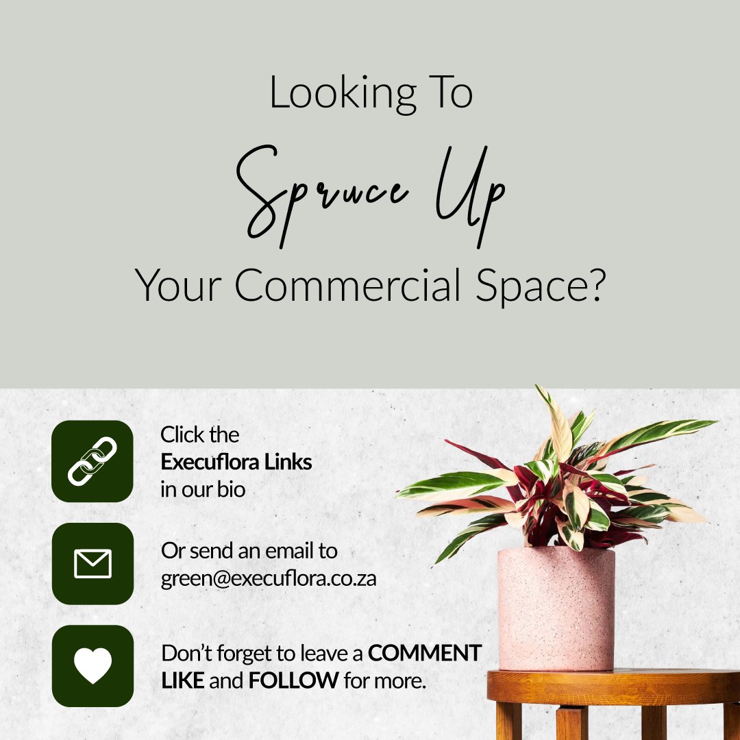 Execuflora tweet media