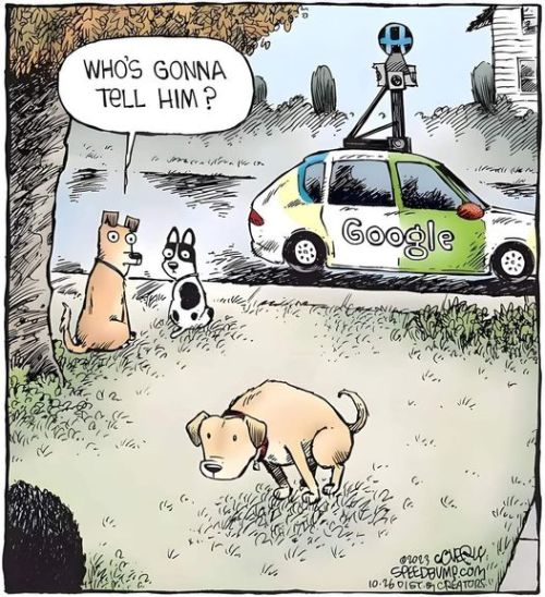 VingTroiSeize's tweet photo. #Google #GoogleCar https://t.co/rRzxXnItvT