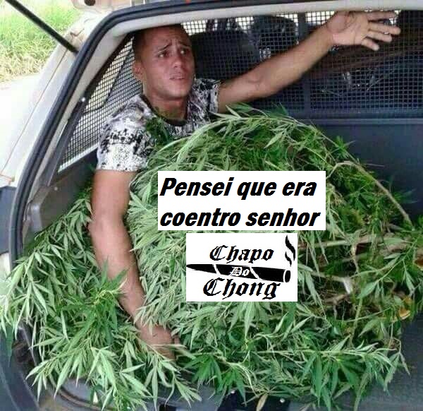 Chapo Do Chong (@chapodochong) on Twitter photo 