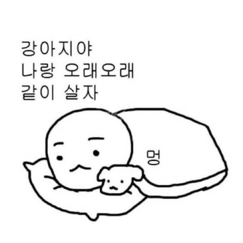 bibbb_608's tweet photo. 종현아 생일 축하한다아아아악‼️‼️
오늘만큼은 종현이가 제일 행복한 날이기를💙💛
#앤유의모토_종현이의날
#HAPPY_JONGHYEON_DAY https://t.co/JJyaJi46y9