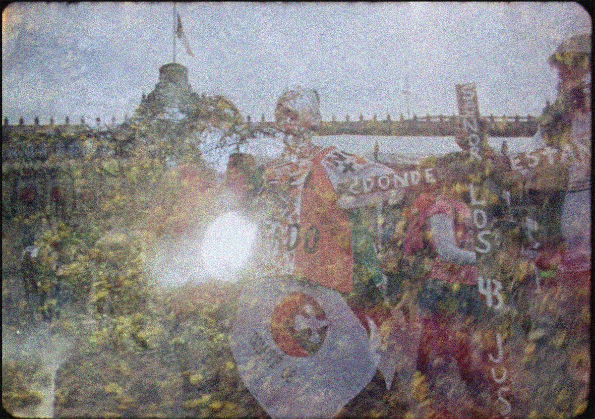 Stephen Broomer tweet media