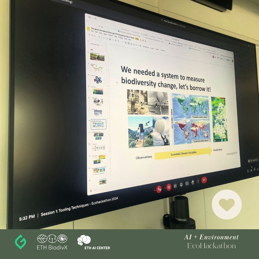GainForestNow's tweet photo. We’re still super stoked about the turnout of the AI+Environment #EcoHackathon. 🤯
A huge shoutout to our amazing participants and mentors! Your passion, creativity, and dedication have been truly inspiring. We’re so proud of the innovative solutions and visualizations developed to meet our one goal of preserving #biodiversity. Special thanks to our mentors for your invaluable guidance and support throughout the event. Your expertise made a world of difference.
Stay tuned for more updates as we continue to highlight the incredible work from our teams. PLUS, winners will be announced soon! 🎉