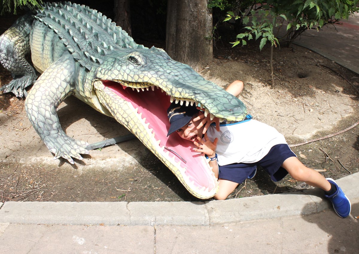 Looking at the pictures you can tell our Year 2 classes loved their day at Faunia today! Smiles all around! 🥰 #fauniamadrid #year2excursions #fundayout #internationalschoolmadrid