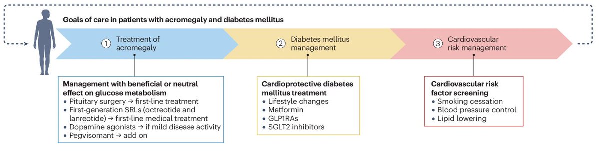 Nature Reviews Endocrinology (@naturerevendo) on Twitter photo New online: a Review by <a href="/DrDanielaEspo/">Dr. Daniela Esposito</a> and colleagues discussing #diabetes mellitus as a complication of #acromegaly (£) go.nature.com/3VvBU31
<a href="/goteborgsuni/">Göteborgs universitet / University of Gothenburg</a> <a href="/SahlgrenskaAcad/">Sahlgrenska Academy</a> <a href="/MariaFleseriu/">Dr. Maria Fleseriu</a> <a href="/OHSUBrain/">OHSU Brain Institute</a> <a href="/UniGenova/">Università di Genova</a> <a href="/SanMartino_Ge/">Ospedale San Martino Genova</a> New online: a Review by <a href="/DrDanielaEspo/">Dr. Daniela Esposito</a> and colleagues discussing #diabetes mellitus as a complication of #acromegaly (£) go.nature.com/3VvBU31
<a href="/goteborgsuni/">Göteborgs universitet / University of Gothenburg</a> <a href="/SahlgrenskaAcad/">Sahlgrenska Academy</a> <a href="/MariaFleseriu/">Dr. Maria Fleseriu</a> <a href="/OHSUBrain/">OHSU Brain Institute</a> <a href="/UniGenova/">Università di Genova</a> <a href="/SanMartino_Ge/">Ospedale San Martino Genova</a>