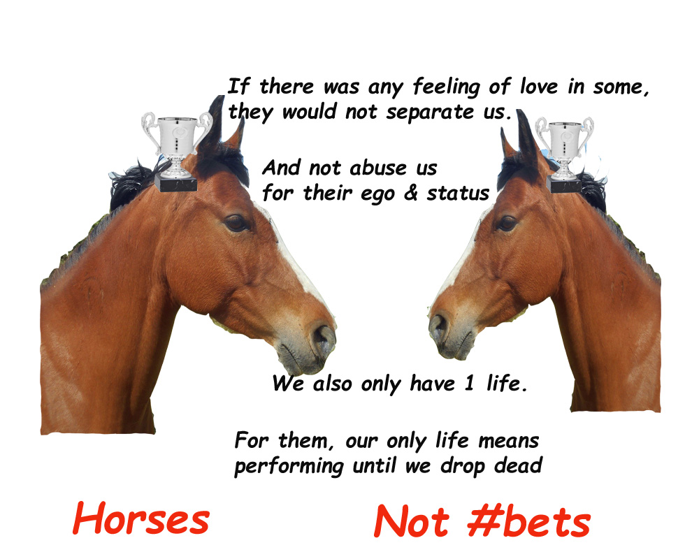 CagesFree's tweet image. Australian #horse racing reps made a couple of announcements — no doubt hoping they sound just good enough that people will forget the images of terrified horses being #kicked, sworn at &amp;amp; thrashing desperately in bloody kill boxes 🐴Healthy horses are ⚰️
animalsaustralia.org/our-work/horse…