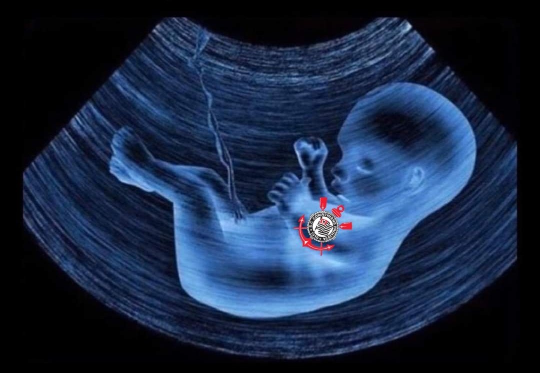 sccpcavalo's tweet photo. Última vez que fui feliz e Corinthians ao mesmo tempo https://t.co/SpF4wvMdCd