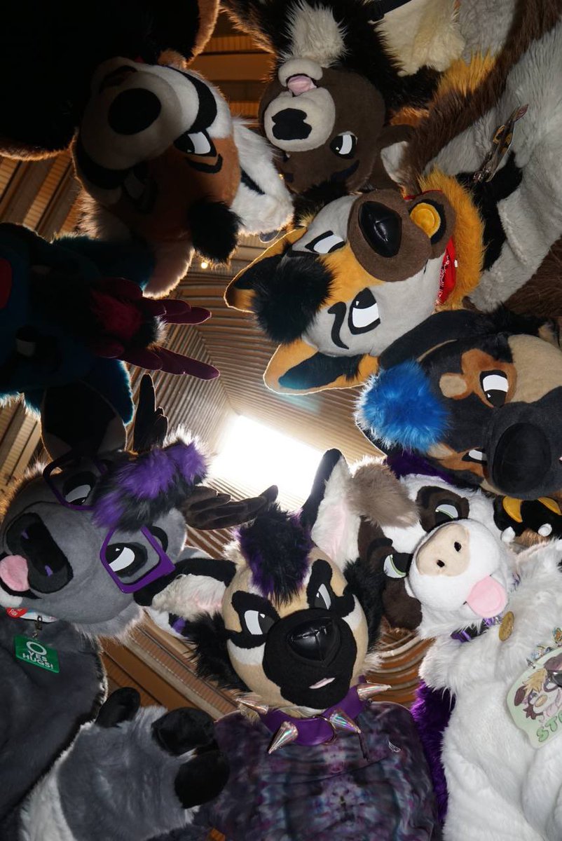 You came to the wrong bleatin neighborhood 🦌🐶!

Shout out to the <a href="/TheBurritoQueen/">Burrito Brat🌶</a> fam! Finally got to meet some wonderful people at FWA! 

🌿: #fursuiter #FursuitFriday