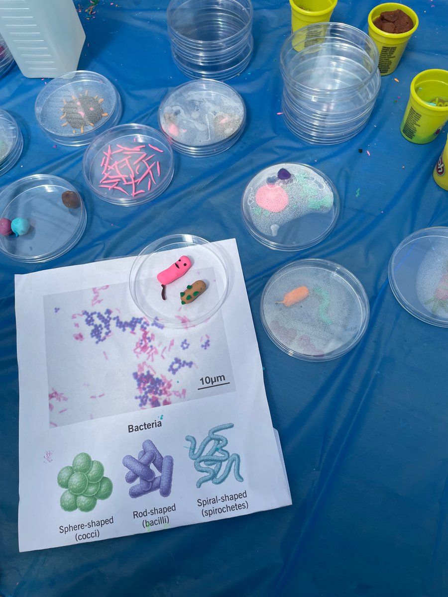 GCUEngagement's tweet image. #handhygiene & #antimicrobial #awareness today in the Botanics for @GlasgowSciFest @GCUSHLS @CaledonianNews @SHIPGCU