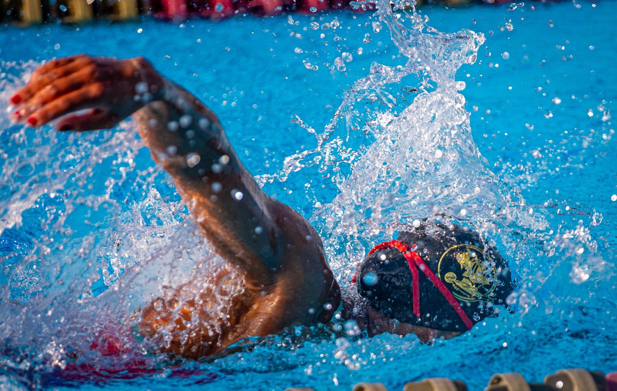 FSU Swimming/Diving tweet media