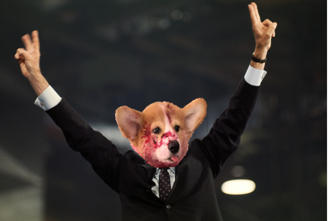 Jamdogcoin's tweet photo. I'm not a crook!

#Jamdog #Solana #PumpUpTheJam #Jamdogcoin https://t.co/N9PQmegIx2