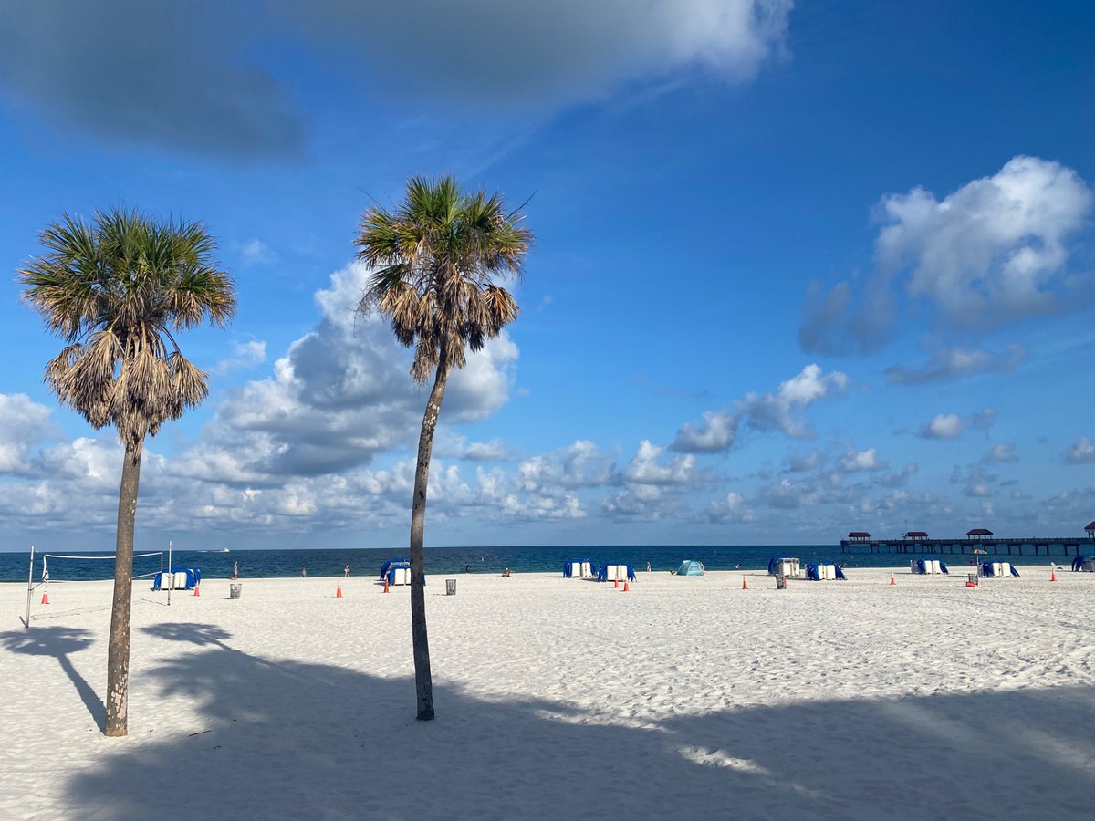 City of Clearwater, FL tweet media