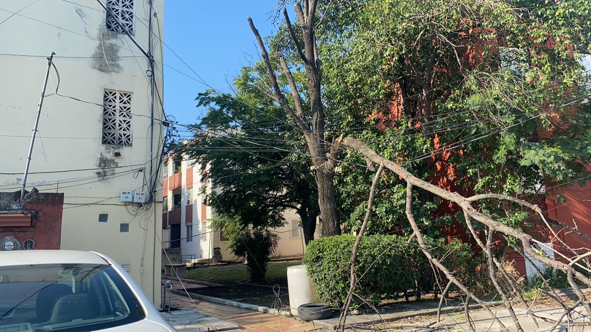 Lizzyta_me's tweet photo. Cables de @TELMEXSoluciona @Telmex @izzi_mx dañados por caída de árbol, ¿nos puede apoyar @pc_mty con retirada de árbol? Ya que hasta daños a @CFE_Contigo se pueden dar en cualquier momento #ayuda @Cicmty Residencial La Española, #SurdeMonterrey https://t.co/jYHvZi22O7