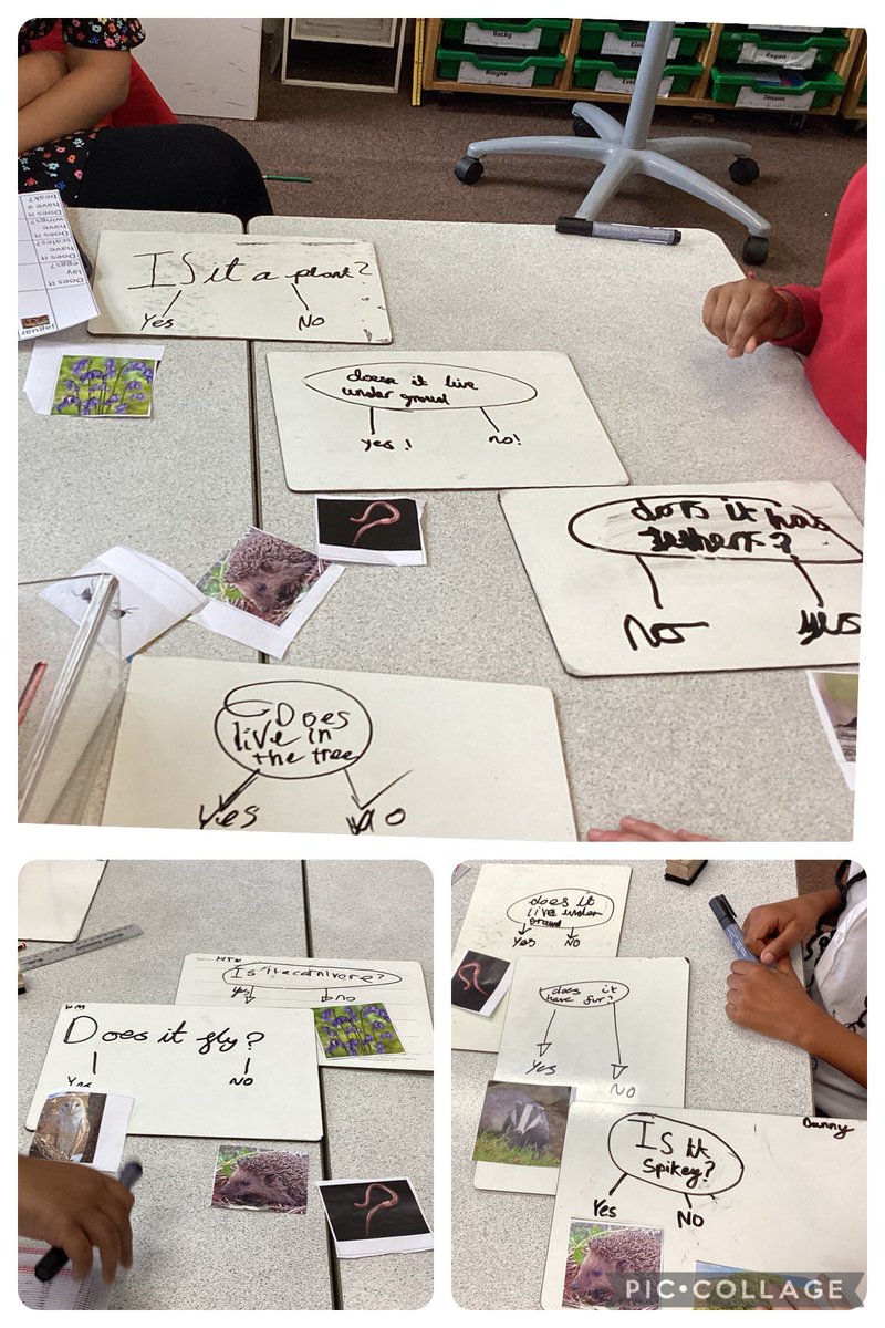 knightontmet's tweet photo. #Hughendenclass have been exploring the characteristics of living things and using classification keys to sort them. #KnMPAScience #perseverance #revisingandimproving https://t.co/6ozzxhyTnw