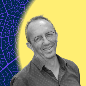 CNRS Sciences humaines & sociales tweet media