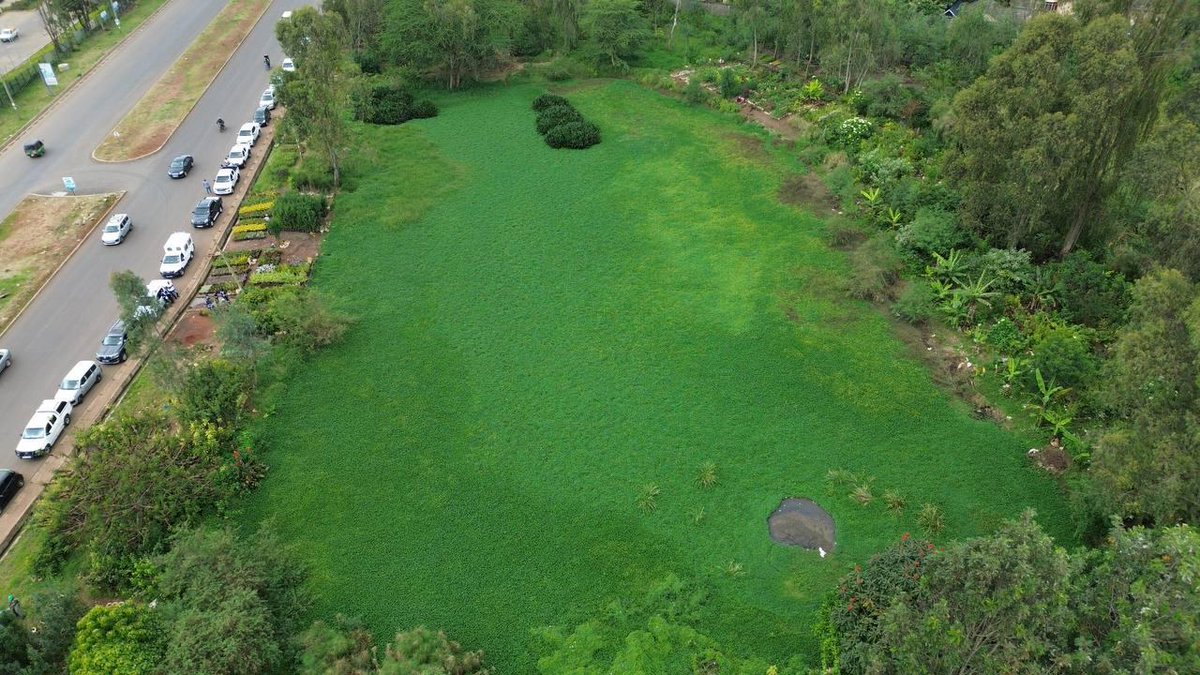 Arnold 'Sk' Karanja tweet media