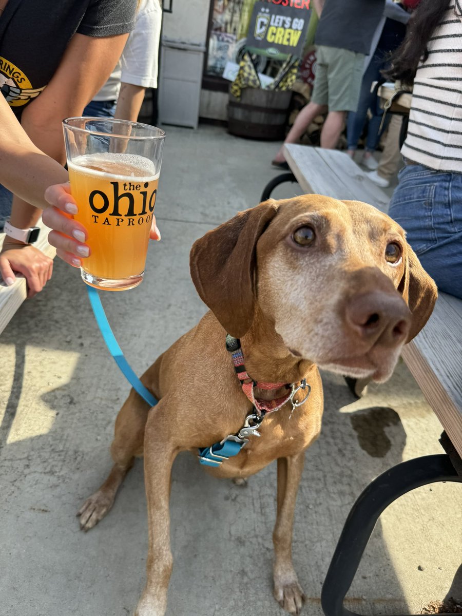 It’s a beautiful day, folks! Grab the leash and walk the dog down to The Taproom for a refreshing bev. Cheers!