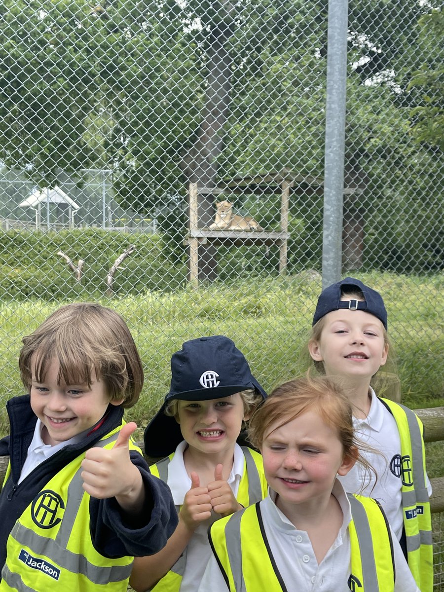 Our Pre Prep pupils, from Reception - Year 2, enjoyed a fantastic adventure to <a href="/_africaalive/">Africa Alive Reserve</a> yesterday as part of their topic work on Africa. They had a wonderful time, observing the animals &amp; learning about the <a href="/ZooSocEA/">Zoological Society of East Anglia</a>'s essential conservation work.
#TownCloseTrips