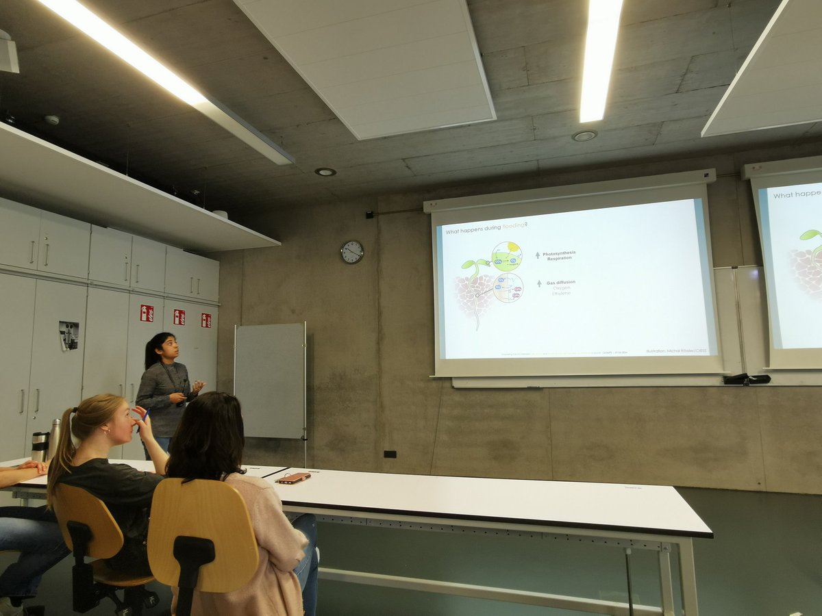 Sjon Hartman (@sjonhartman) on Twitter photo Proud supervisor moment today, <a href="/RimChaudhury15/">Rim Chaudhury</a> presenting her <a href="/DAAD_Germany/">DAAD News</a> funded project at our <a href="/BUnifr/">Faculty of Biology - University of Freiburg</a> <a href="/DOMPS_seminars/">DOMPS</a> on rain perception and flooding acclimation 🌱☔ Proud supervisor moment today, <a href="/RimChaudhury15/">Rim Chaudhury</a> presenting her <a href="/DAAD_Germany/">DAAD News</a> funded project at our <a href="/BUnifr/">Faculty of Biology - University of Freiburg</a> <a href="/DOMPS_seminars/">DOMPS</a> on rain perception and flooding acclimation 🌱☔