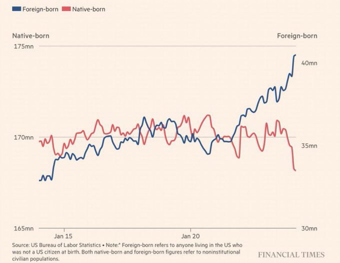 The_Real_Fly's tweet photo. Americans are quite literally being replaced in the jobs market https://t.co/fp21PB92hw