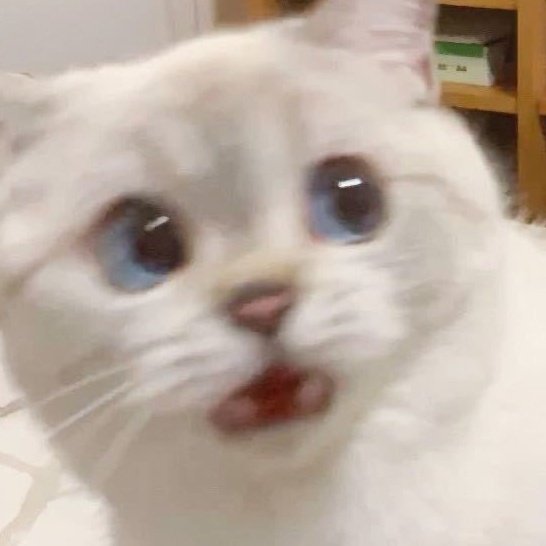 fyodorai's tweet photo. 😭😭 https://t.co/JXEiwDS9Du