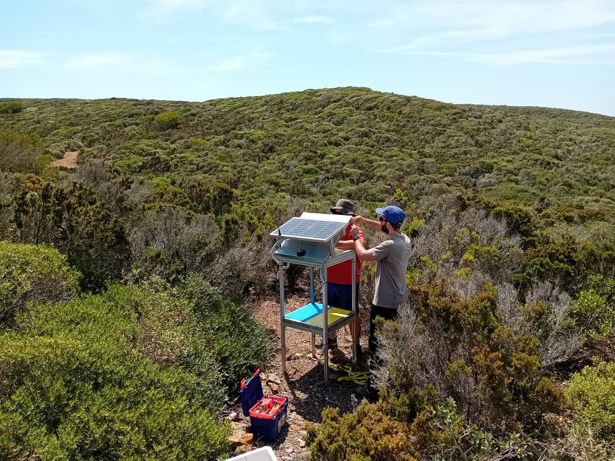 MAMirandaTweet's tweet photo. Una visita a #Menorca Reserva de la Biosfera con el proyecto #BioView un sistema automático Y muestreos convencionales para el seguimiento de #insectos y conocer mejor sus poblaciones y amenazas 🐛🐜🐞🦋 https://t.co/urjrgkvPAz