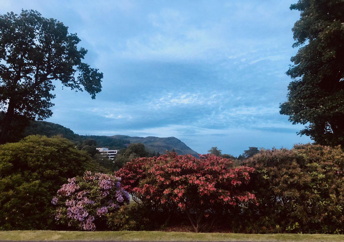 Alexis Carey (@lexicarey) on Twitter photo Great 2 days at #dhpconf. Inspiring keynotes from <a href="/DrAngelChater/">Dr Angel Chater</a> & Prof Vivien Swanson. Loved hearing about the work from all my health psych colleagues. Throw in lovely company, a ceilidh, beautiful scenery & an award for my research. Happy days!🥰 <a href="/BPSOfficial/">British Psychological Society</a> <a href="/divhealthpsych/">BPS DHP</a> Great 2 days at #dhpconf. Inspiring keynotes from <a href="/DrAngelChater/">Dr Angel Chater</a> & Prof Vivien Swanson. Loved hearing about the work from all my health psych colleagues. Throw in lovely company, a ceilidh, beautiful scenery & an award for my research. Happy days!🥰 <a href="/BPSOfficial/">British Psychological Society</a> <a href="/divhealthpsych/">BPS DHP</a>
