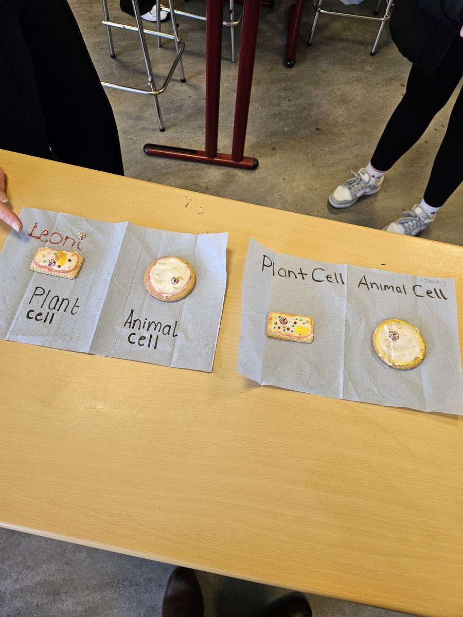 Mr Coyle tweet media