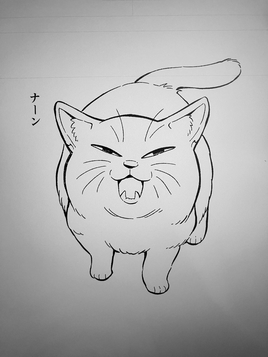 モンちゃん(仮) 