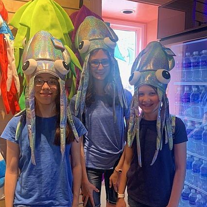 MillbrookCSD tweet media