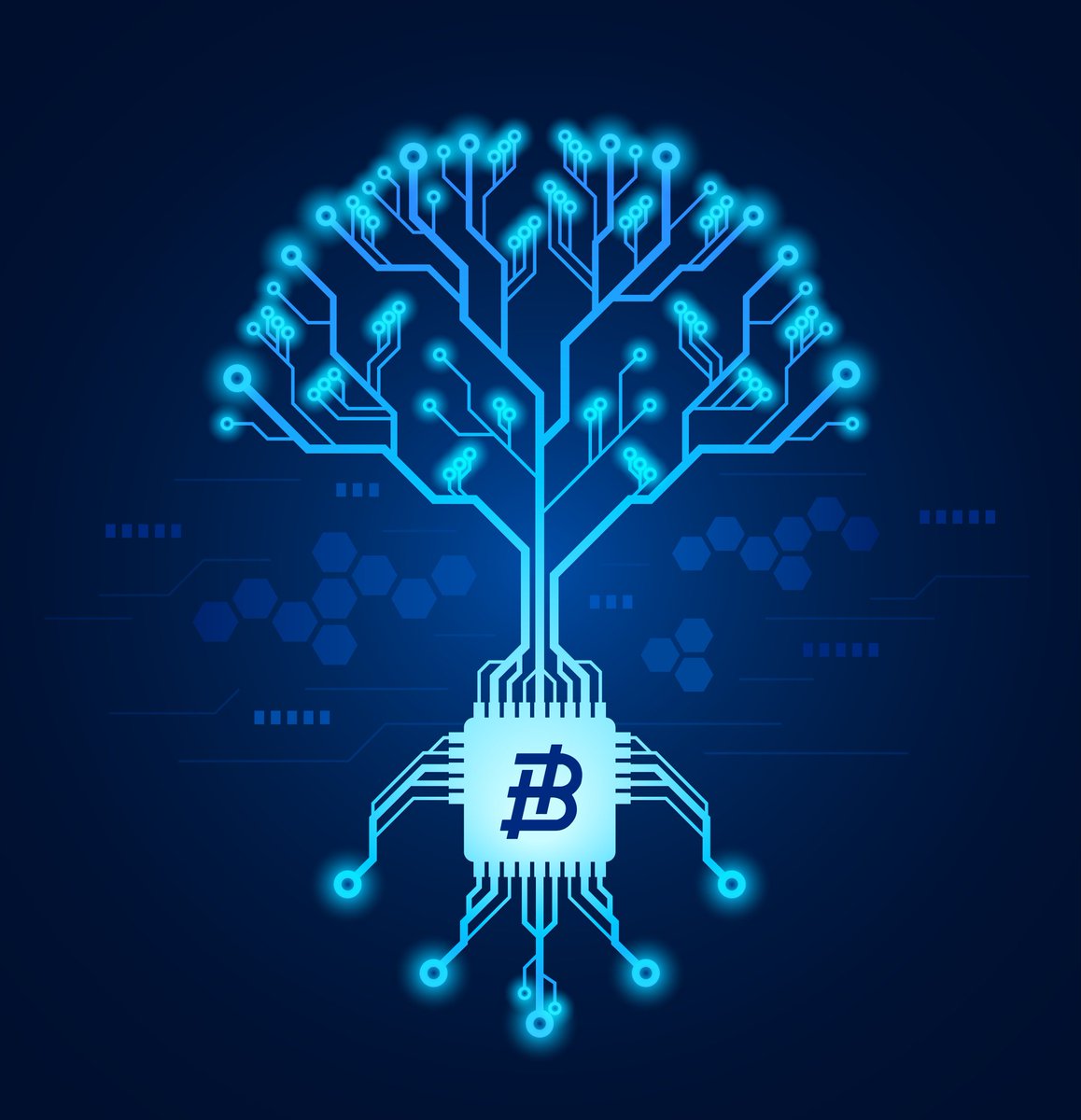 BITHASH ™ tweet media