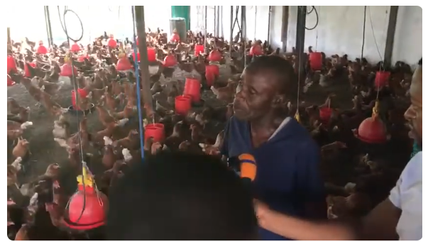 kinshasaweb's tweet image. 🔴#TECPRO #MampuyaRobert ÉVEIL PATRIOTIK 07.6 : PROCÈS COUP D'ÉTAT : VOICI DES PERSONNES IMPLIQU... youtube.com/live/xNd77THaW… via @YouTube @Presidence_RDC @PrimatureRDC @SuminwaJudith @TinaSalama2 @PlanRdc @PDL145T_RDC