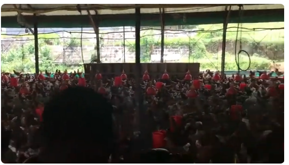 kinshasaweb's tweet image. 🔴#TECPRO #MampuyaRobert ÉVEIL PATRIOTIK 07.6 : PROCÈS COUP D'ÉTAT : VOICI DES PERSONNES IMPLIQU... youtube.com/live/xNd77THaW… via @YouTube @Presidence_RDC @PrimatureRDC @SuminwaJudith @TinaSalama2 @PlanRdc @PDL145T_RDC