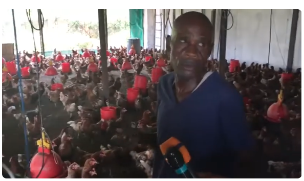 kinshasaweb's tweet image. 🔴#TECPRO #MampuyaRobert ÉVEIL PATRIOTIK 07.6 : PROCÈS COUP D'ÉTAT : VOICI DES PERSONNES IMPLIQU... youtube.com/live/xNd77THaW… via @YouTube @Presidence_RDC @PrimatureRDC @SuminwaJudith @TinaSalama2 @PlanRdc @PDL145T_RDC