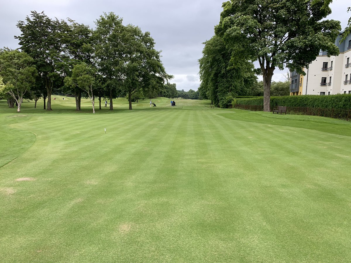 Another busy week as we prepare for Club Championships. As well as general mowing, others tasks consisted of: verti-cutting greens, top-dressing &amp; overseeding new PG, spraying compost tea, re-surfacing selected areas on haul road and painting the fence around the half way house⛳️