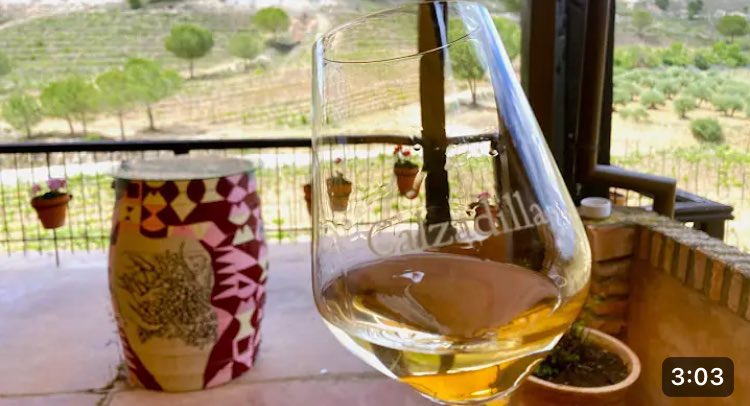 Aunque con algo de retraso desde que hicimos la visita, os compartimos la experiencia de #enoturismo en <a href="/PagoCalzadilla/">Pago Calzadilla</a>; en #Huete, #Cuenca.
 
youtu.be/CbeXrW4FSpU?si…