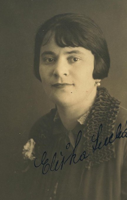 AuschwitzMuseum's tweet image. 7 June 1887 | A Czech Jewish woman, Alžběta Hitschmannová, was born in Kamenice nad Lipou.

She was deported to #Auschwitz from #Theresienstadt Ghetto on 18 May 1944. She did not survive.