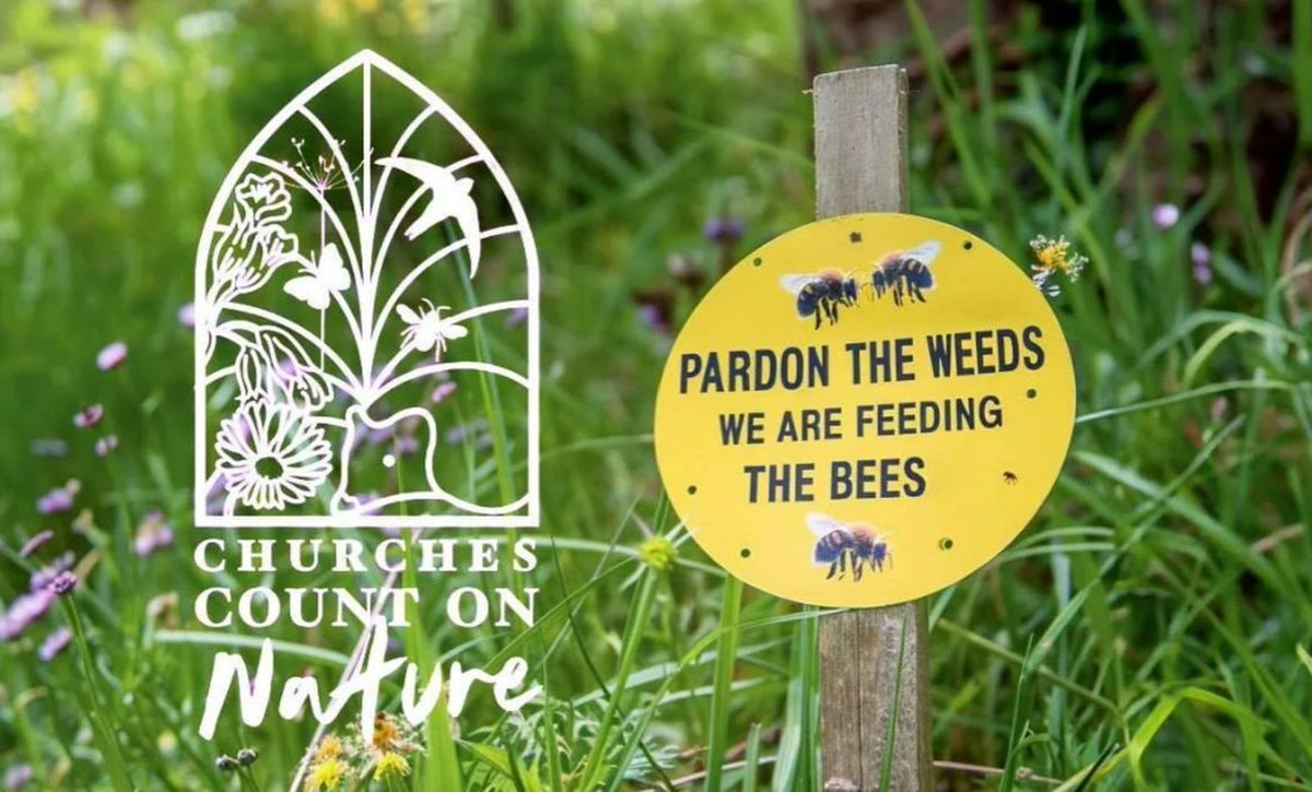 The Church in Wales | Yr Eglwys yng Nghymru tweet media