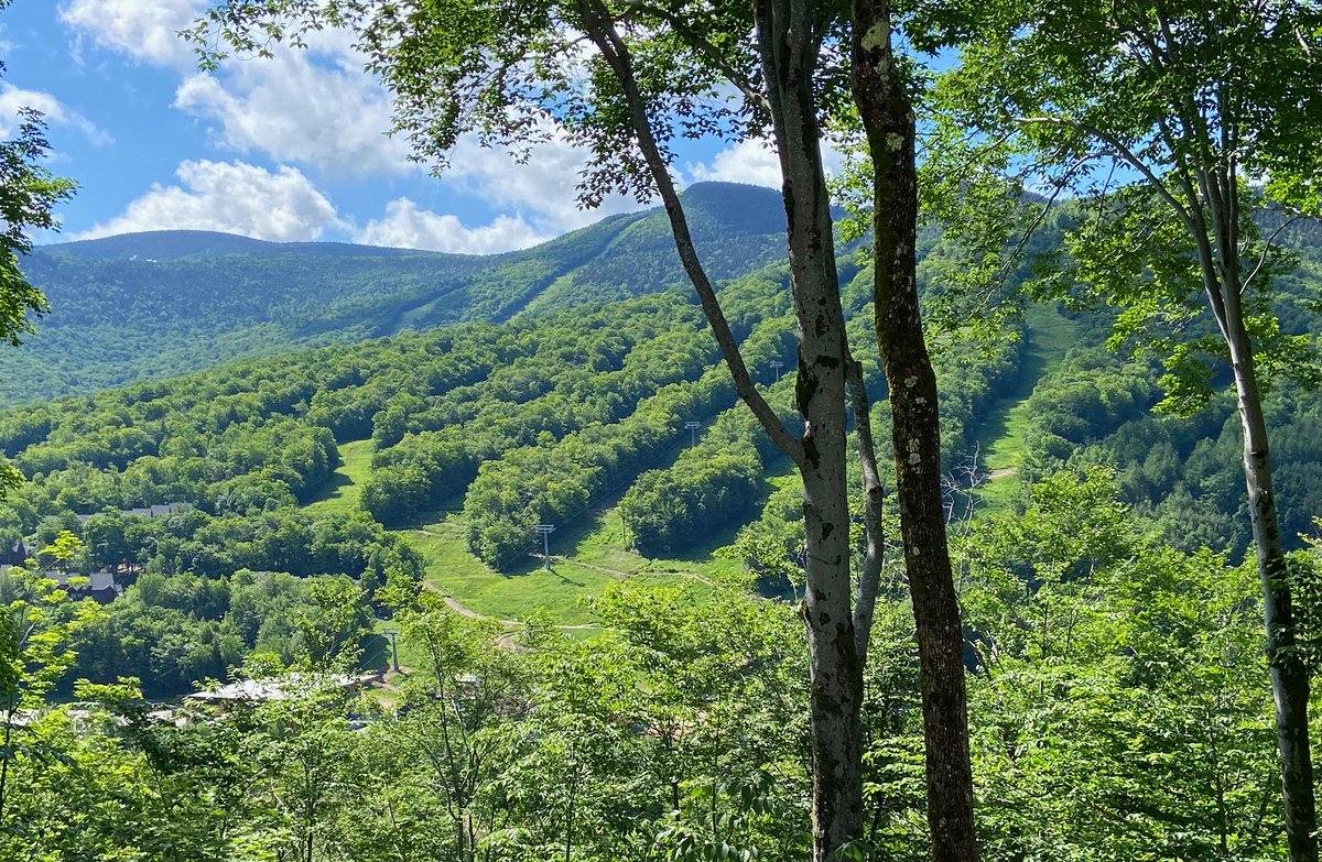 steveloynd's tweet photo. New Coolidge Falls at Loon Mt property for sale, actual view from the condo. #loonmtrealtor https://t.co/tYyoywFvgf