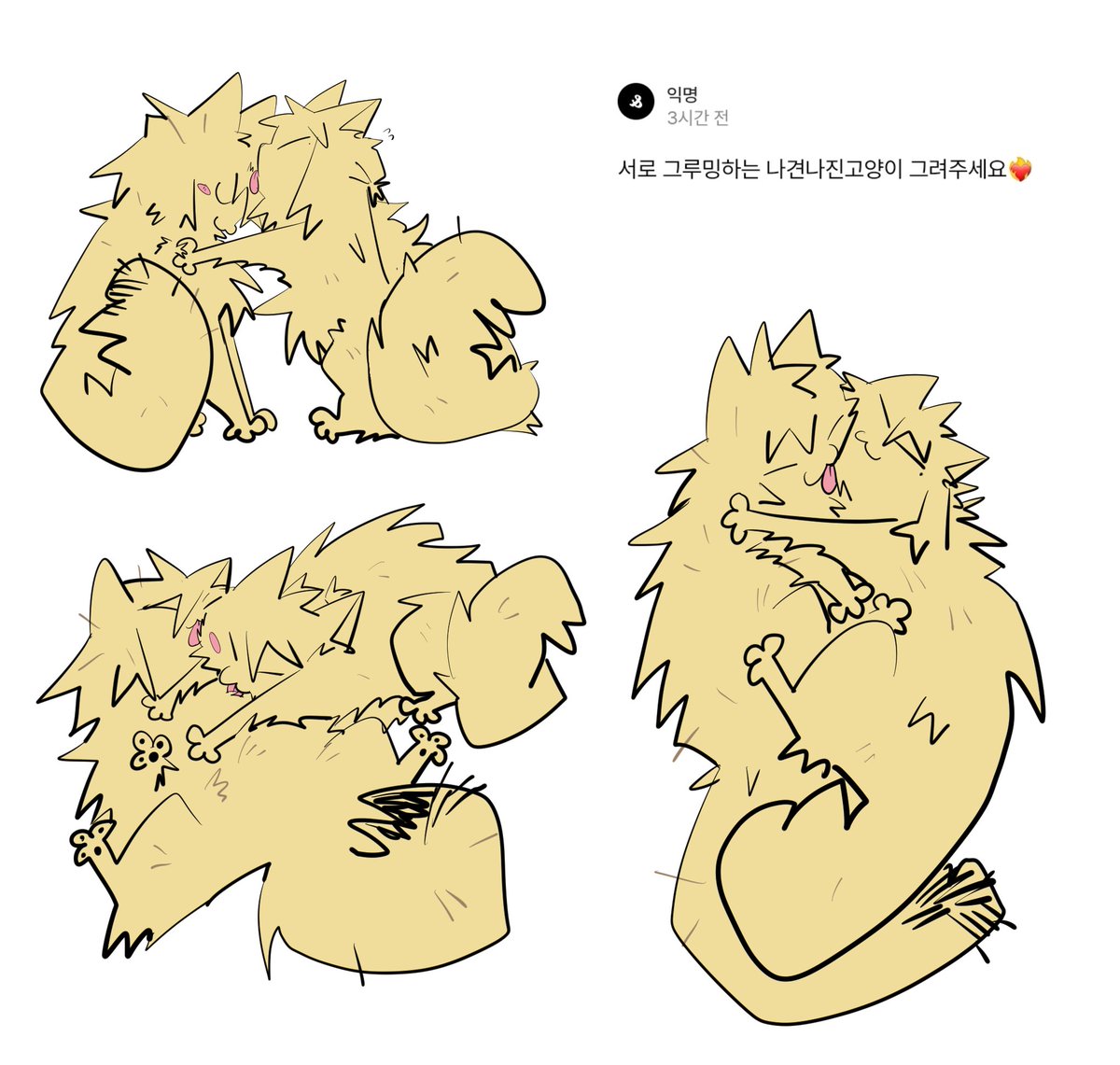 그루밍 하는 나견나진 고양이 