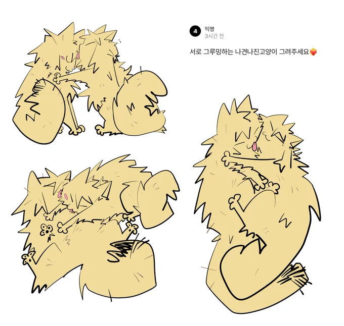 그루밍 하는 나견나진 고양이 