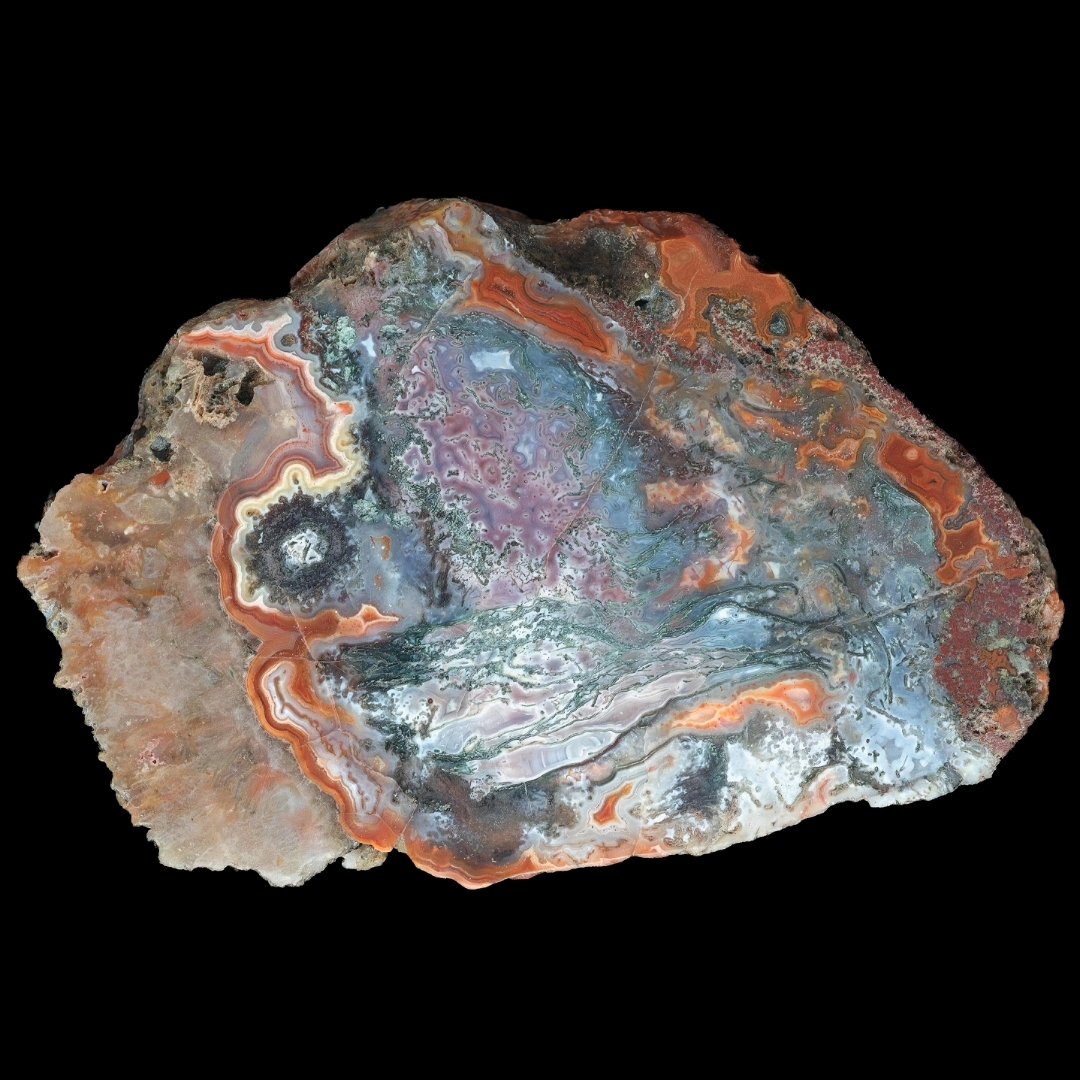 AgateScotland's tweet photo. Photos by the esteemed Chris Harlow of a 10cm Balmerino agate I collected in 2018 https://t.co/oVzjx3KoQt