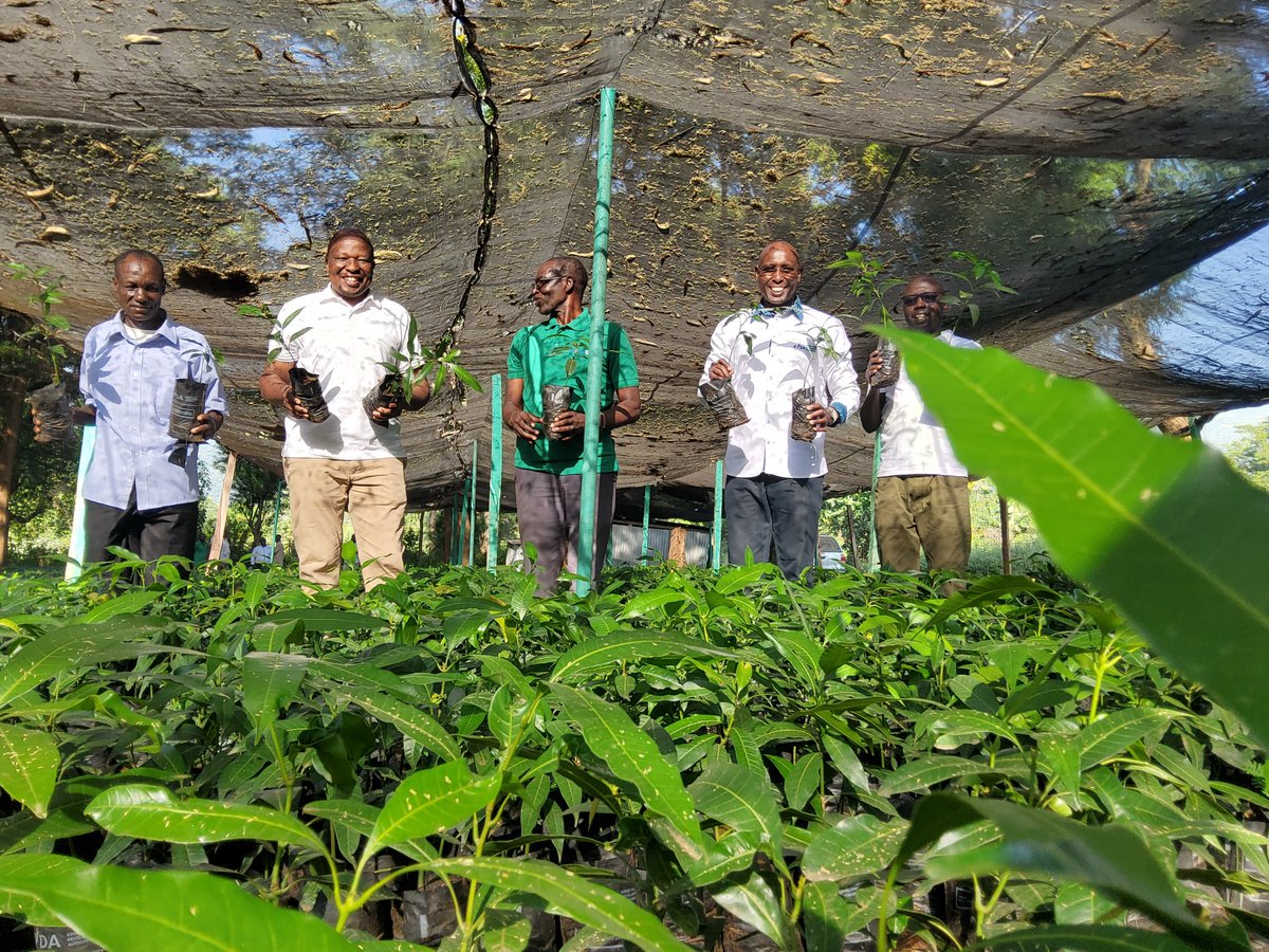 SammyNaporos's tweet photo. Agroforestry plays a pivotal role in ecosystem conversation, food security, and employment creation.  At WeiWei fruit tree nurseries- West Pokot County https://t.co/BrGH8f07BX