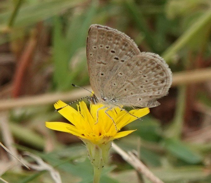 Martin Pitt tweet media