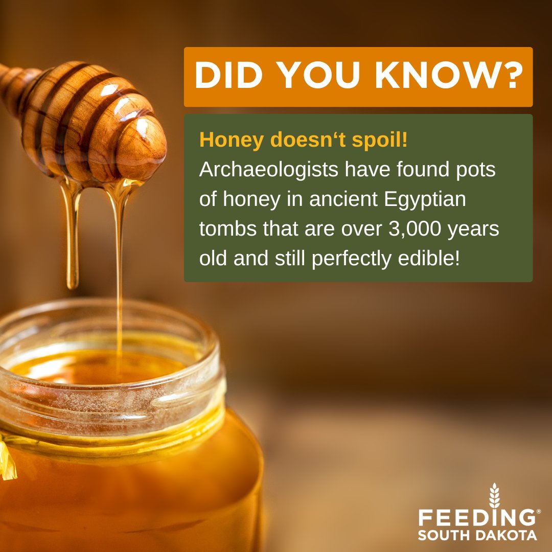 Did you know that honey is the only food that doesn’t spoil? 🍯 Archaeologists have found pots of honey in ancient Egyptian tombs that are over 3,000 years old and still perfectly edible! #FoodFactFriday