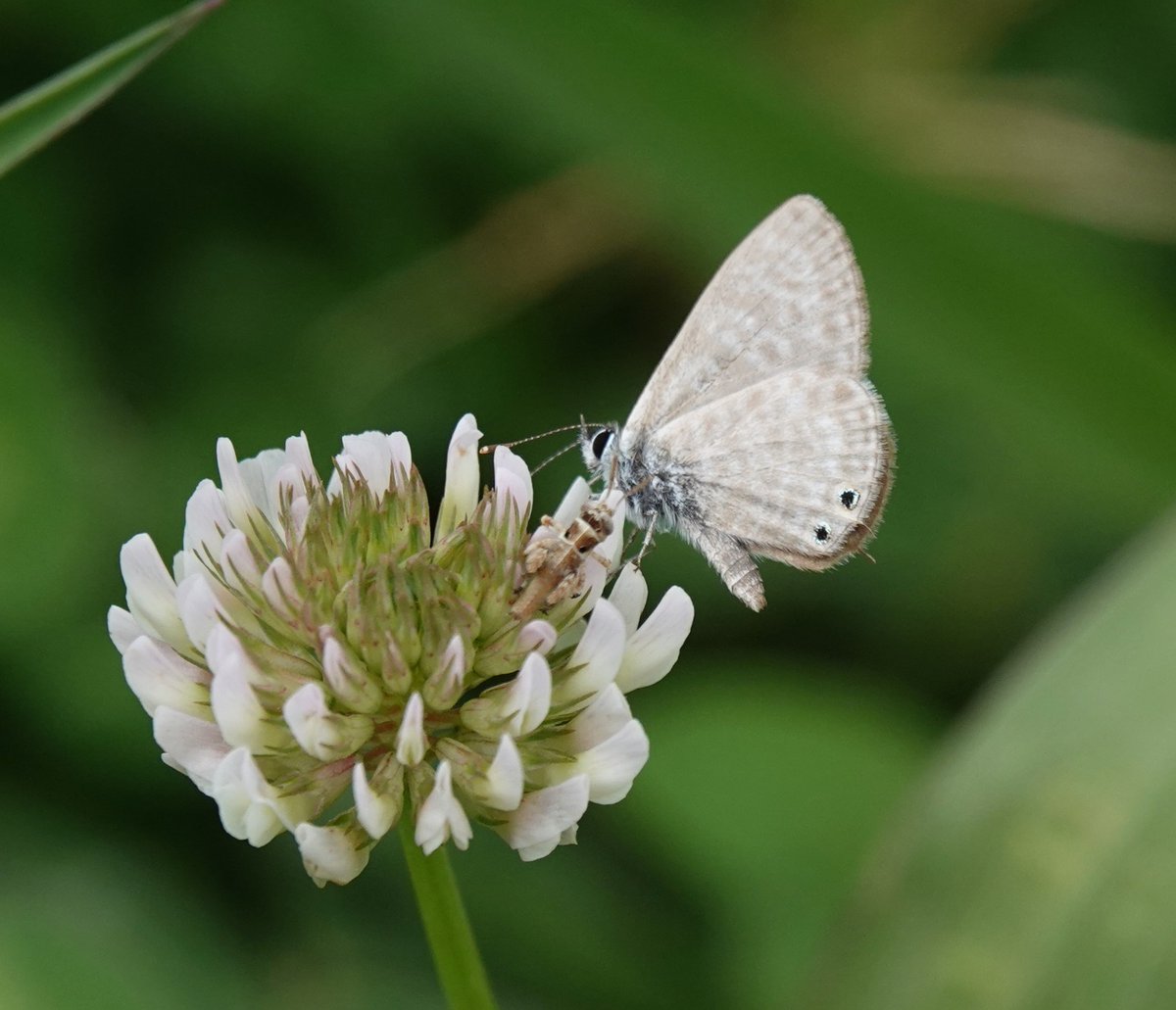 Martin Pitt tweet media