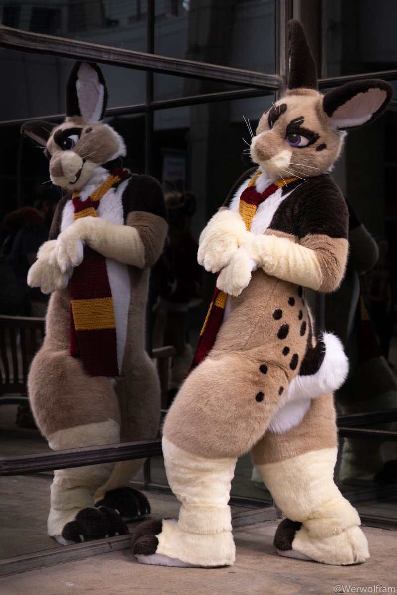 Rabidrabbit56's tweet photo. Hey, it's me! I look gooood! Happy #FursuitFriday everyone! Suit by: @lobitoworks https://t.co/s7nR2rFKbT