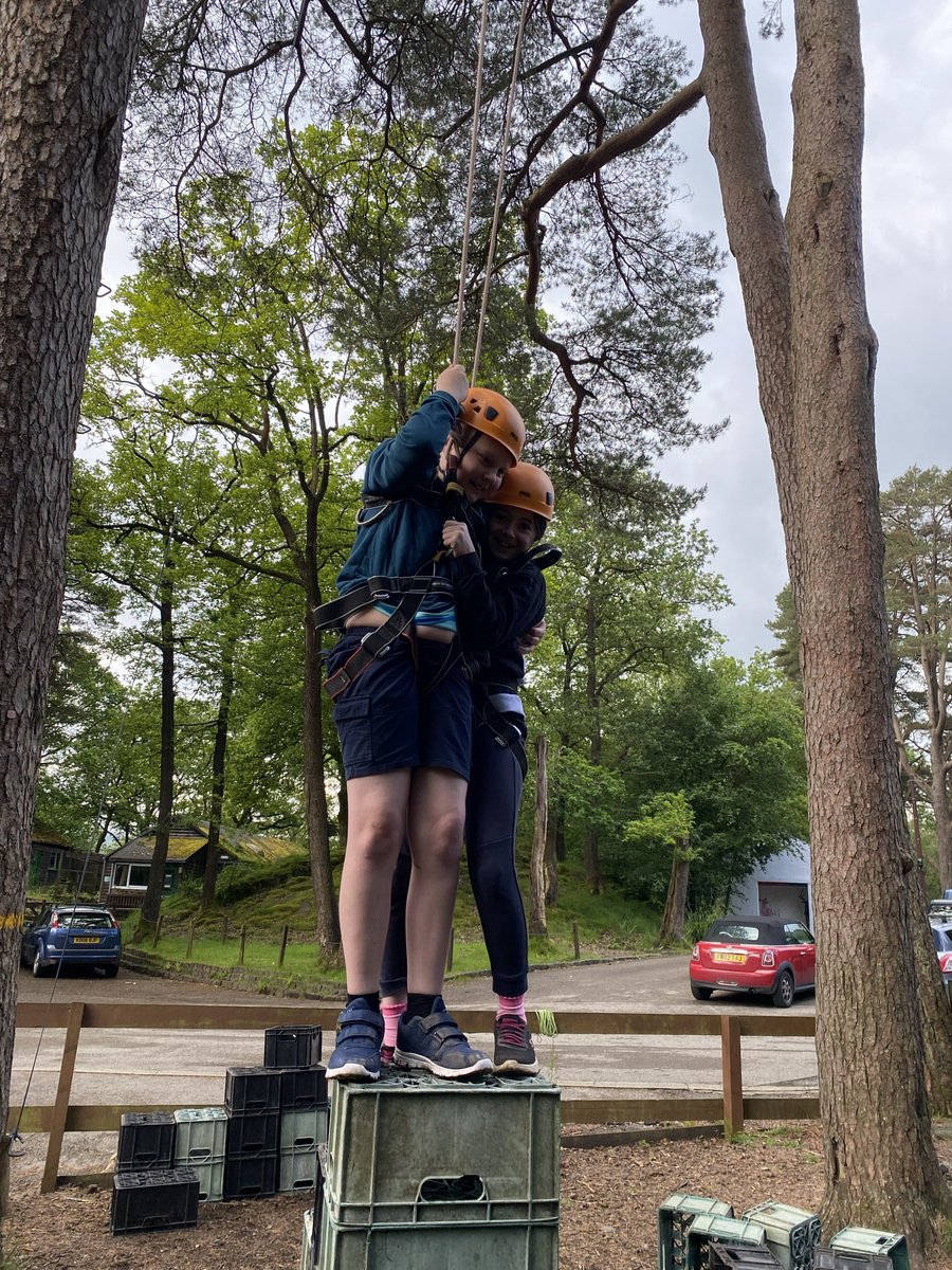 The Whartons Primary tweet media