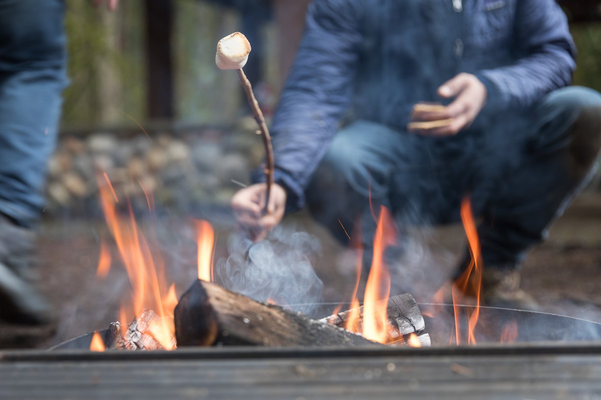 oregonmetro's tweet image. Celebrate PlayCleanGo Awareness Week by doing your part to prevent the spread of invasive species while camping. Buy firewood where you’ll burn it. The forests and your favorite campsites will thank you! #PlayCleanGo #PlayCleanGoWeek #DontMoveFirewood