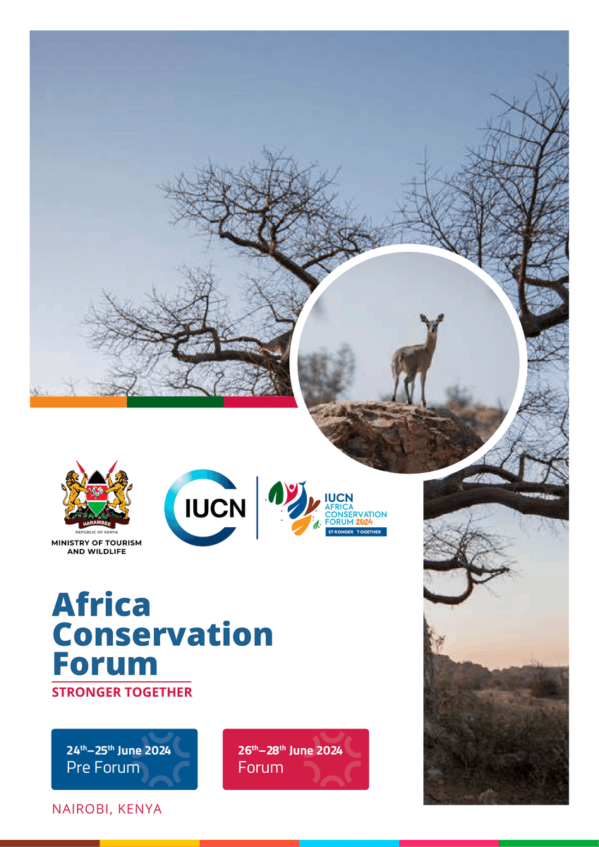 Zimbabwe Environmental Law Organisation (ZELO) tweet media